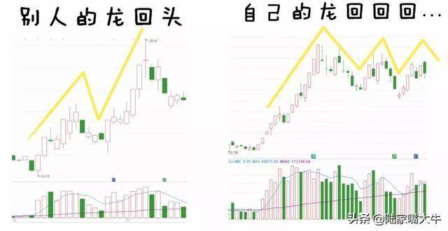 买股只买龙回头把龙回头战法讲清楚看懂获益一生！
