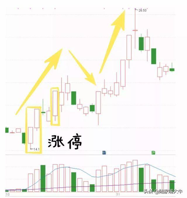 买股只买龙回头把龙回头战法讲清楚看懂获益一生！