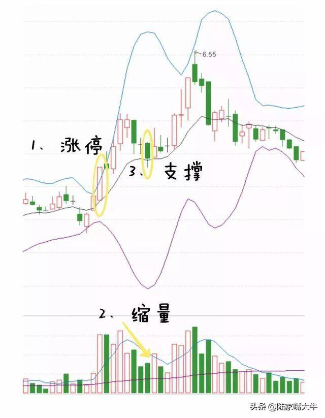 买股只买龙回头把龙回头战法讲清楚看懂获益一生！