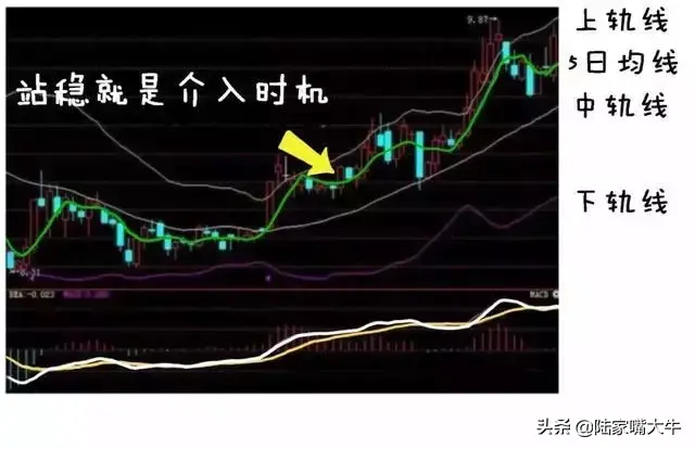 5日均线BOLLMACD战法从亏损到盈利我终于领悟懂了