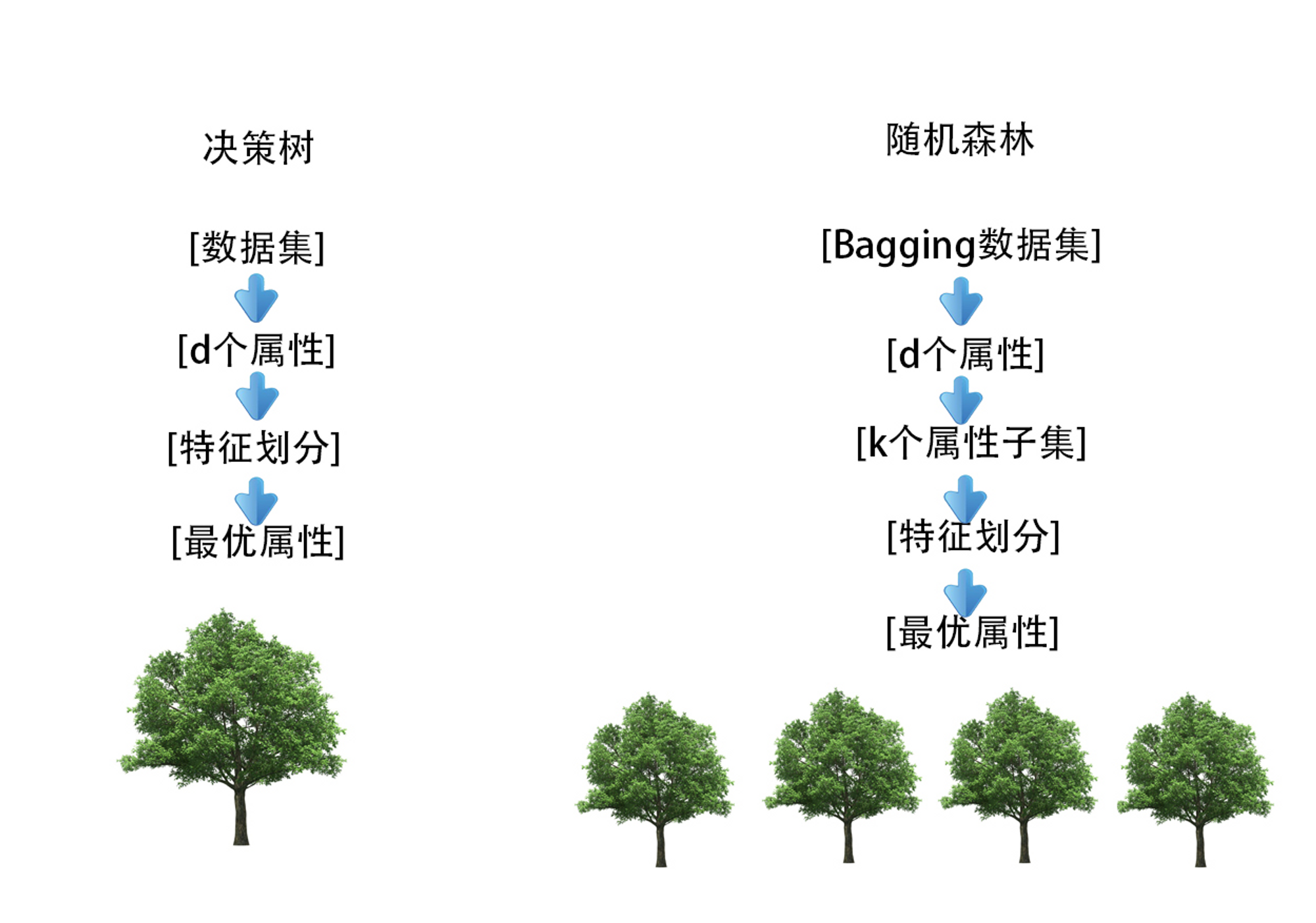通俗易懂三哥讲机器学习04机器学习随机森林RandomForest