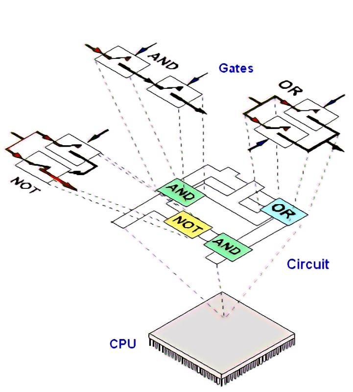 布尔巴基学派数学世界的建筑师