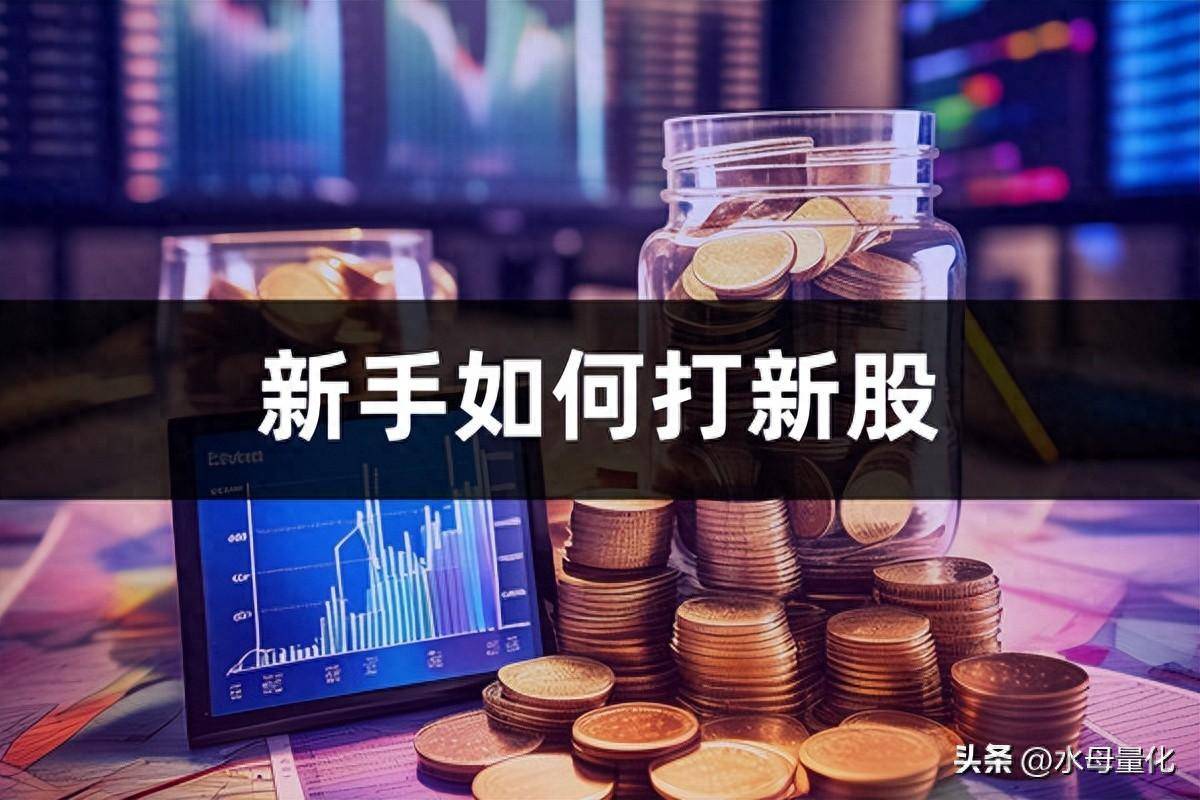新手如何打新股量化交易软件自动打新