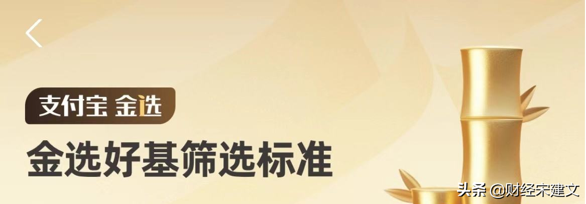 基金变动大金选基金表现好长期主义是关键