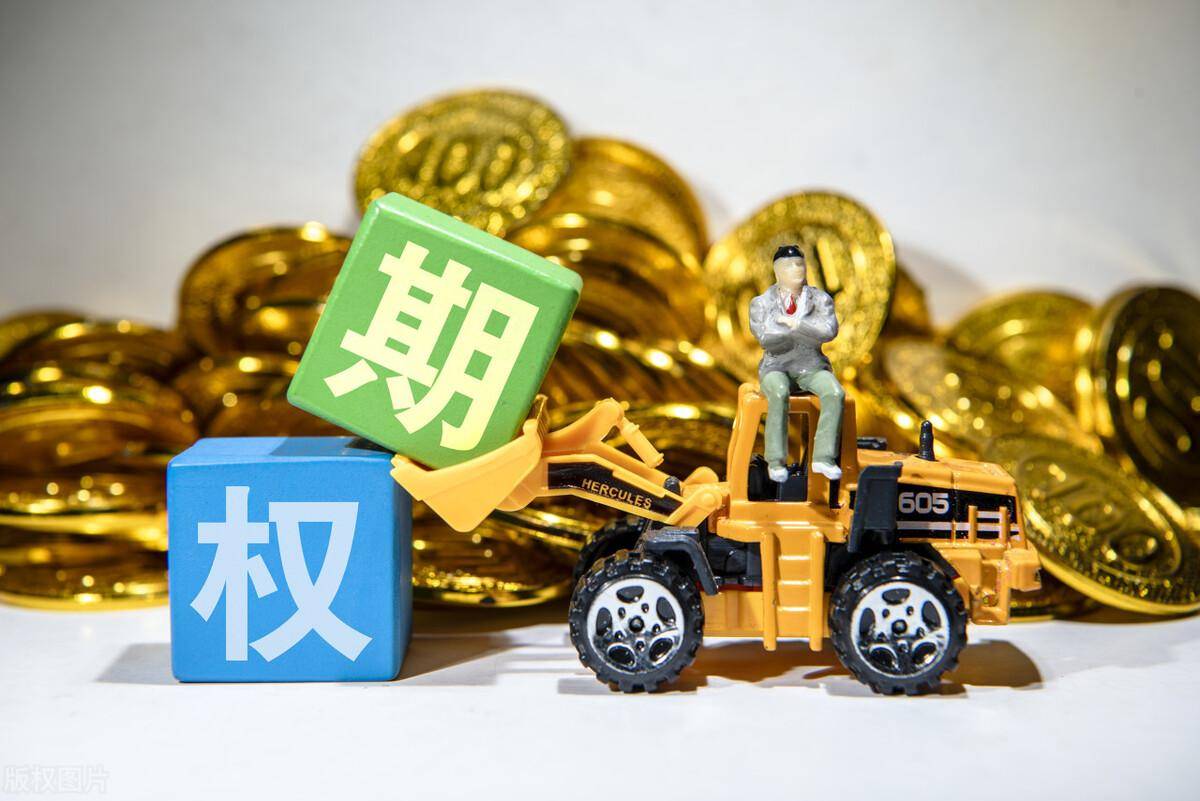 为什么投资期权？看完这篇文章你就明白了