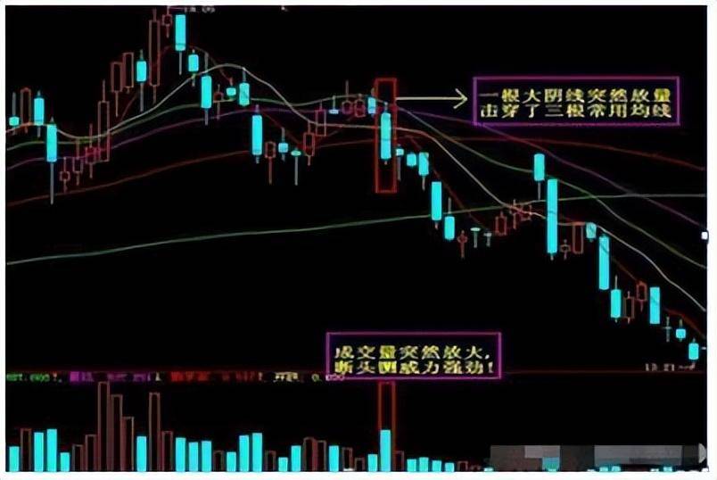 A股献给中国股市2亿股民无论你信不信这就是中国股市！速读
