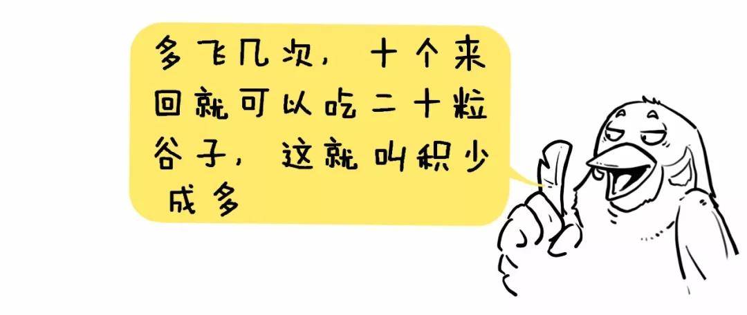 北大金融女博士终于发声了像麻雀一样炒股不被庄家套牢