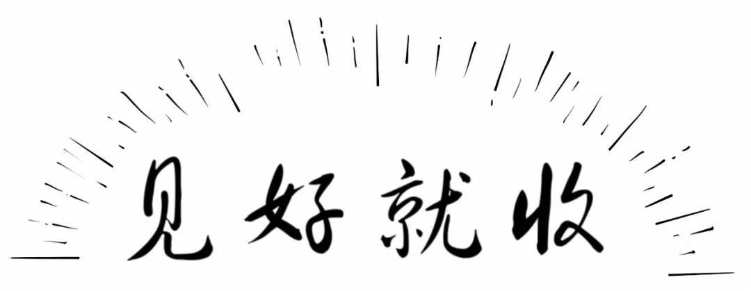 北大金融女博士终于发声了像麻雀一样炒股不被庄家套牢