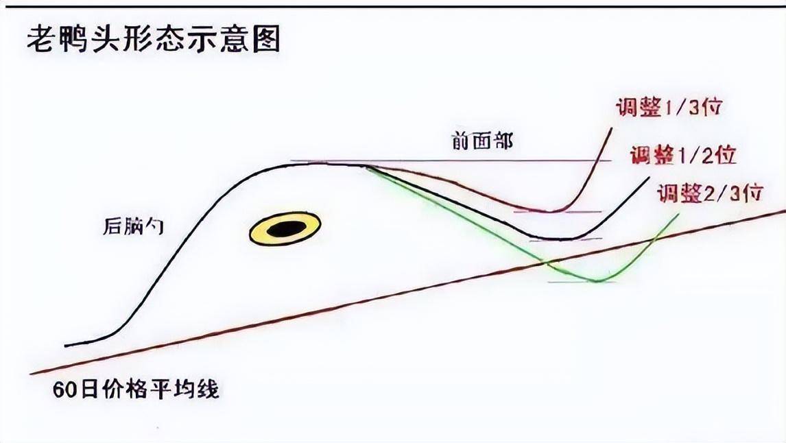 A股千金难买老鸭头如果你本金只有六万不妨试试老鸭头战法