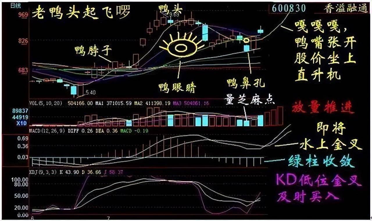 A股千金难买老鸭头如果你本金只有六万不妨试试老鸭头战法