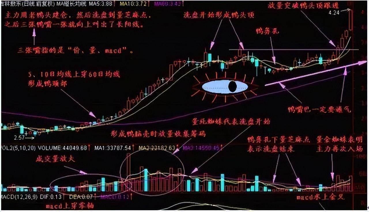 A股千金难买老鸭头如果你本金只有六万不妨试试老鸭头战法