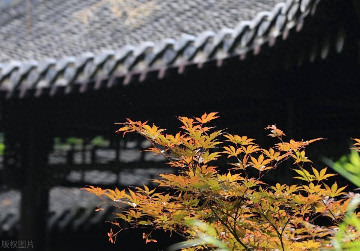 中国股市炒股是一场人性的磨炼很短很深悟透胜读十年书