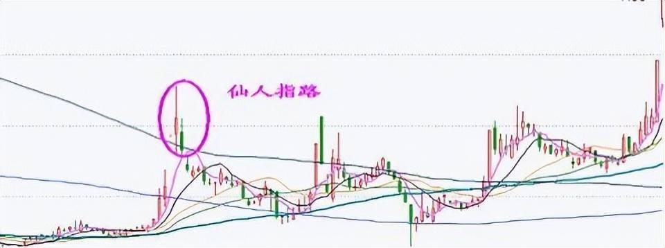 一位天才交易员的感悟史上最全的选牛股技巧看懂一辈子不愁!