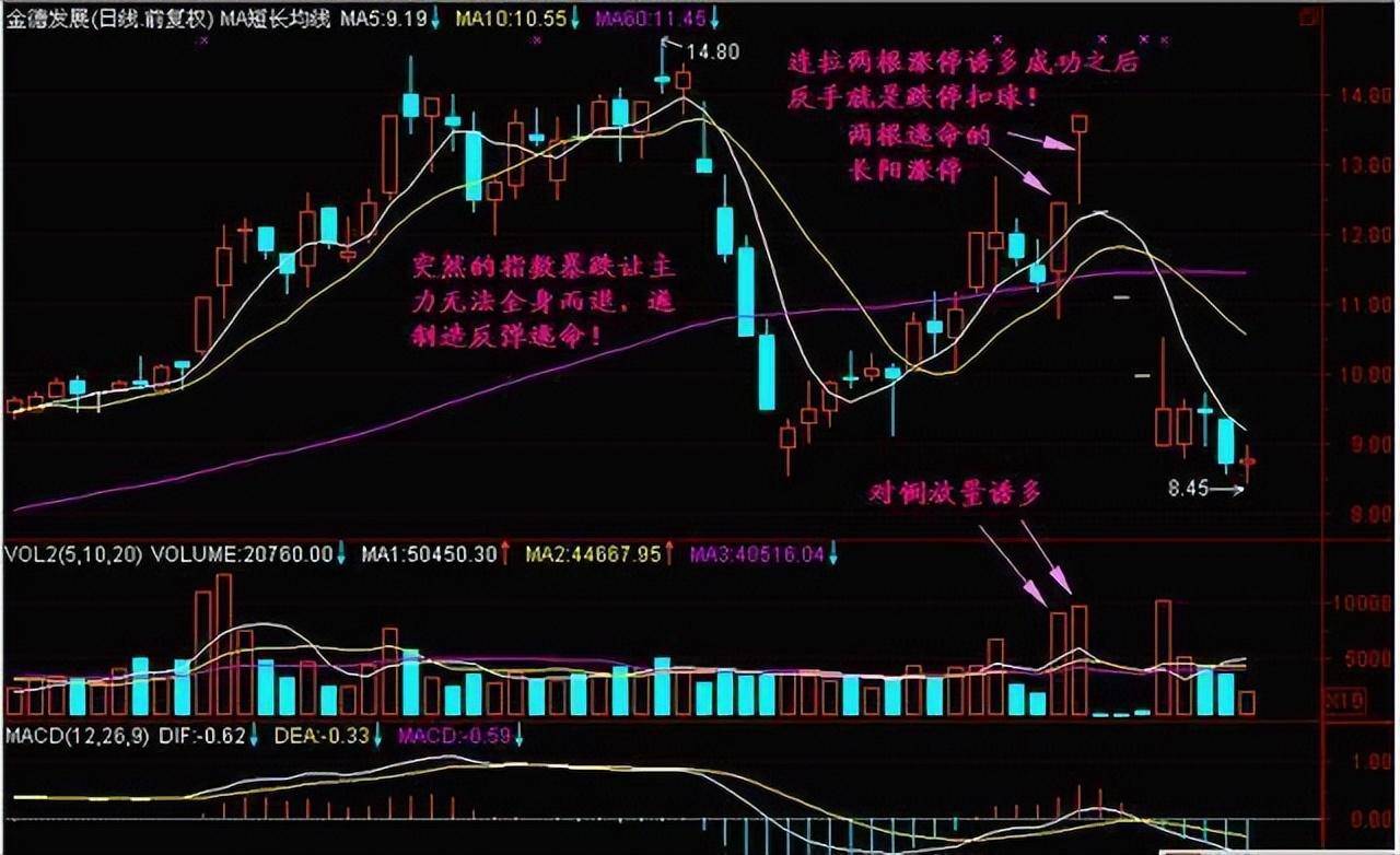 一位天才交易员的感悟史上最全的选牛股技巧看懂一辈子不愁!