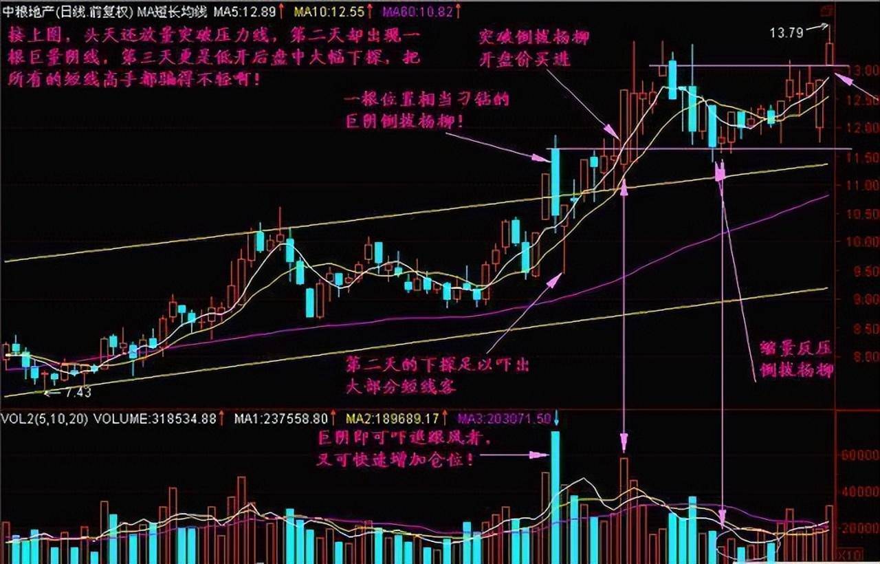 一位天才交易员的感悟史上最全的选牛股技巧看懂一辈子不愁!