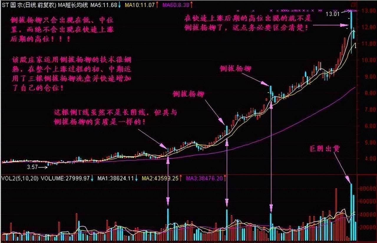 一位天才交易员的感悟史上最全的选牛股技巧看懂一辈子不愁!