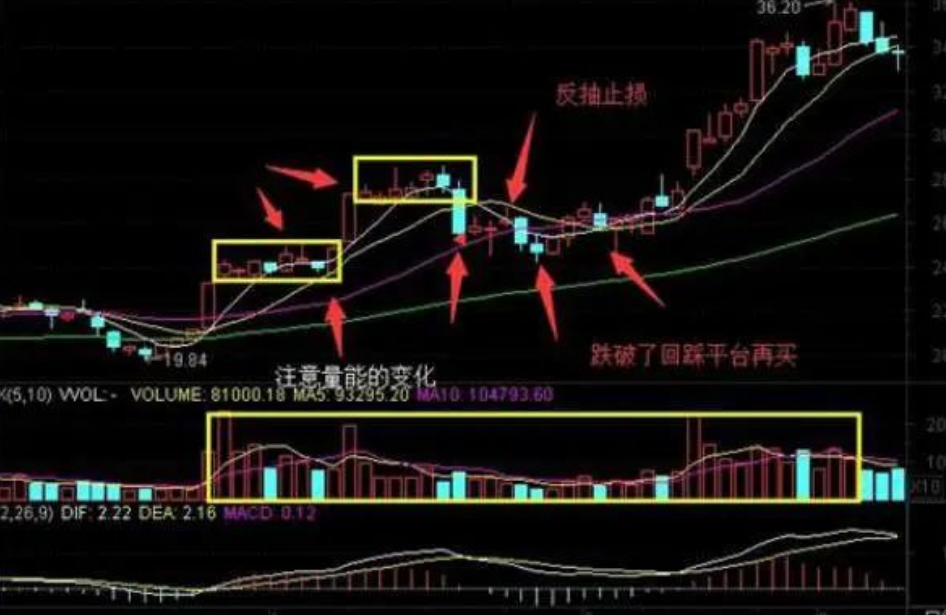 一位上海金融女博士箴言如果资金在十几万左右务必要看完此文