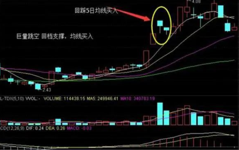 一位上海金融女博士箴言如果资金在十几万左右务必要看完此文