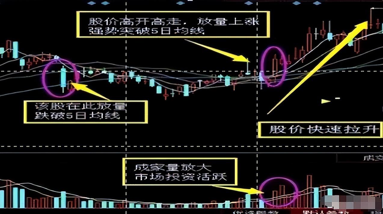 珍藏版！五日不破不必操作持股涨幅从头吃到尾