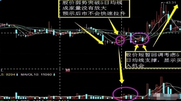 珍藏版！五日不破不必操作持股涨幅从头吃到尾