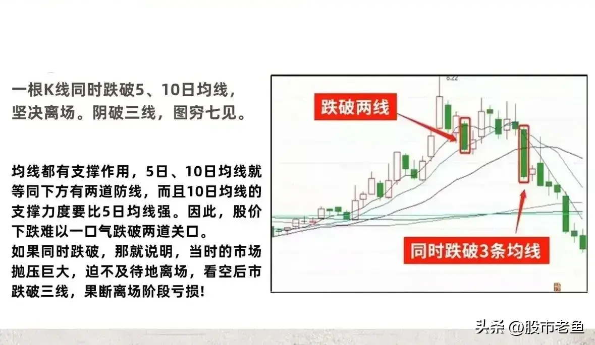 中国股市越简单的方法往往越赚钱只用一种方法赚到怀疑人生