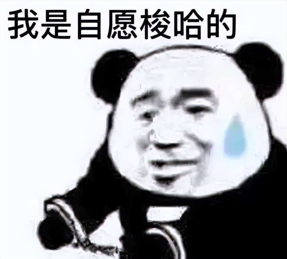 抄底抄在半山腰？散户如何摆脱追涨杀跌的诅咒？邢不行
