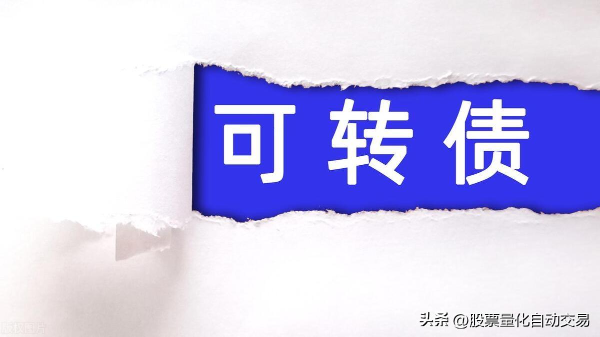 可转债市场发行体制市场的结构发行方式市场参与者与角色