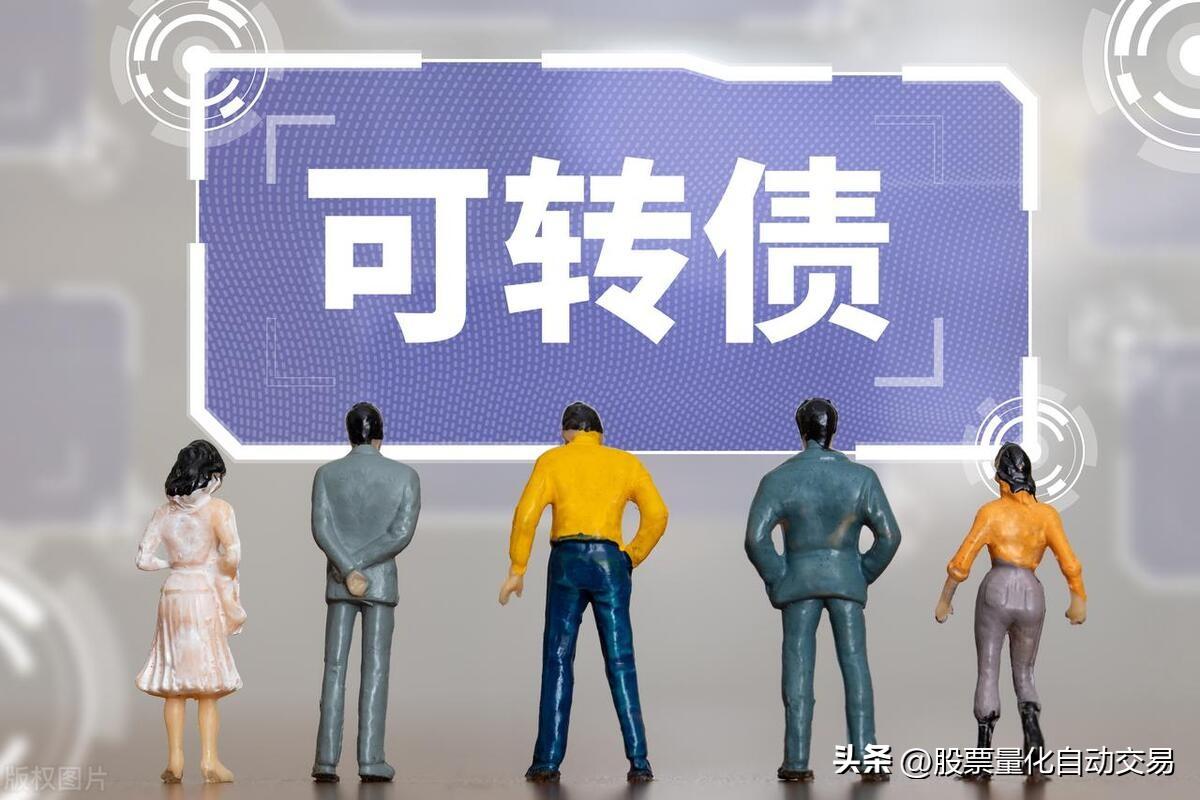 可转债市场发行体制市场的结构发行方式市场参与者与角色