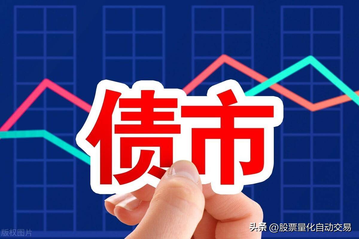 分析可转债的发行公司公司财务状况行业分析管理团队