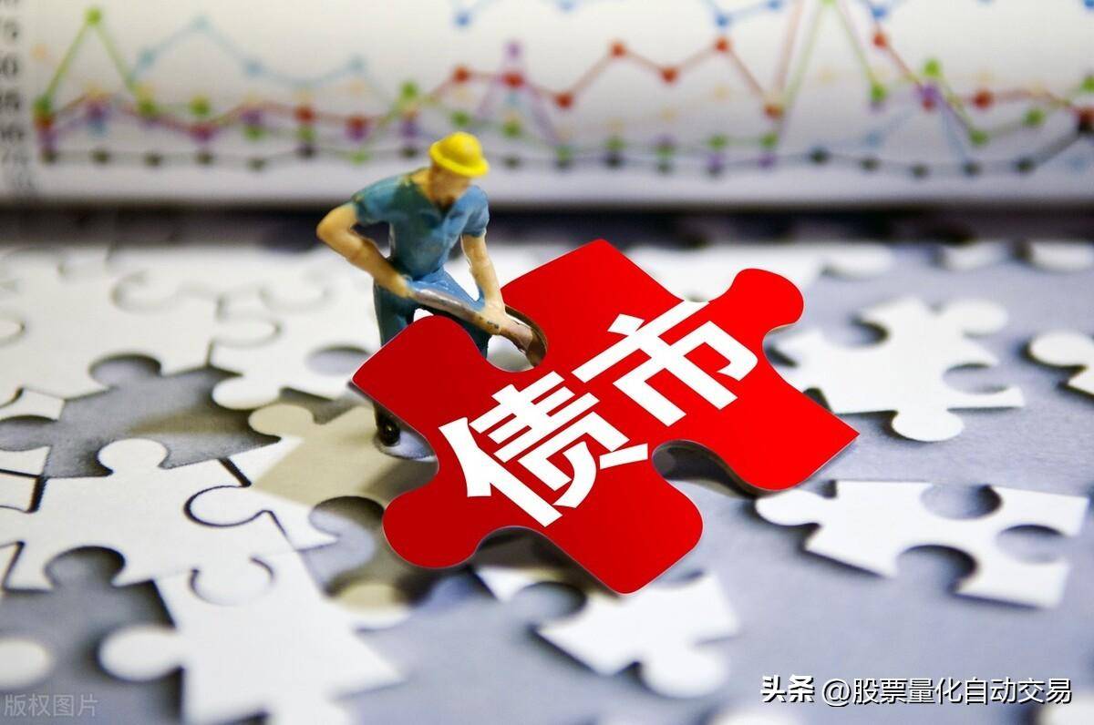 分析可转债的发行公司公司财务状况行业分析管理团队