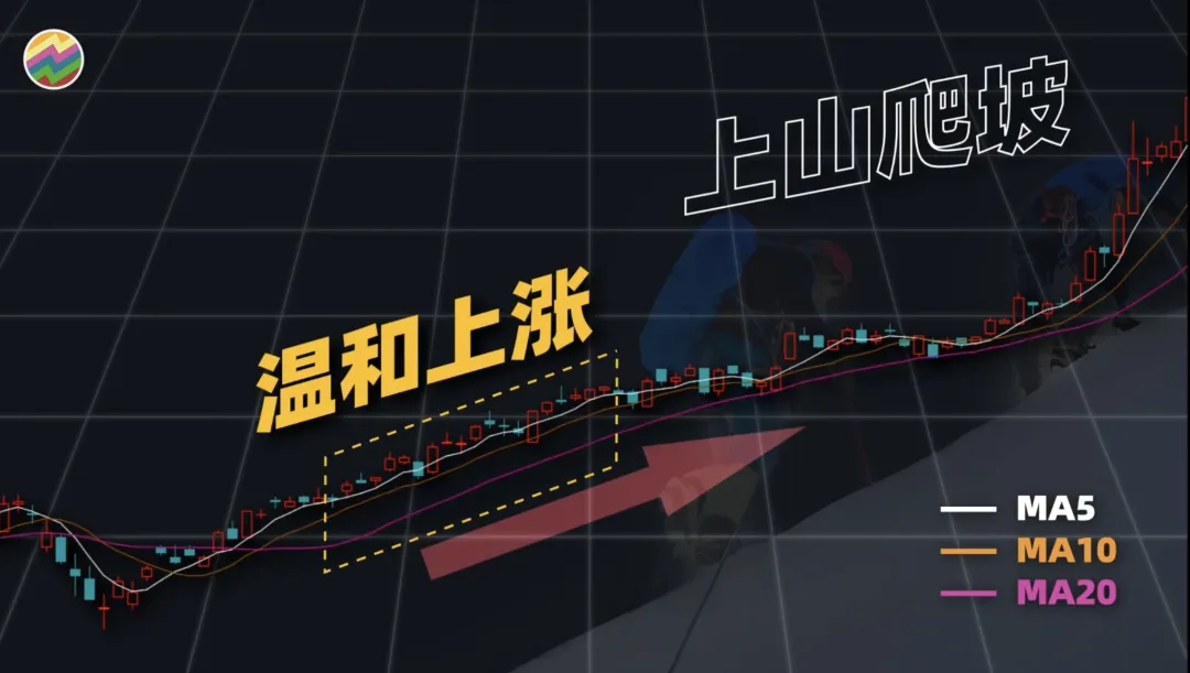 趋势之王or虚有其表Python量化25种均线用法,哪些有用,哪些没用