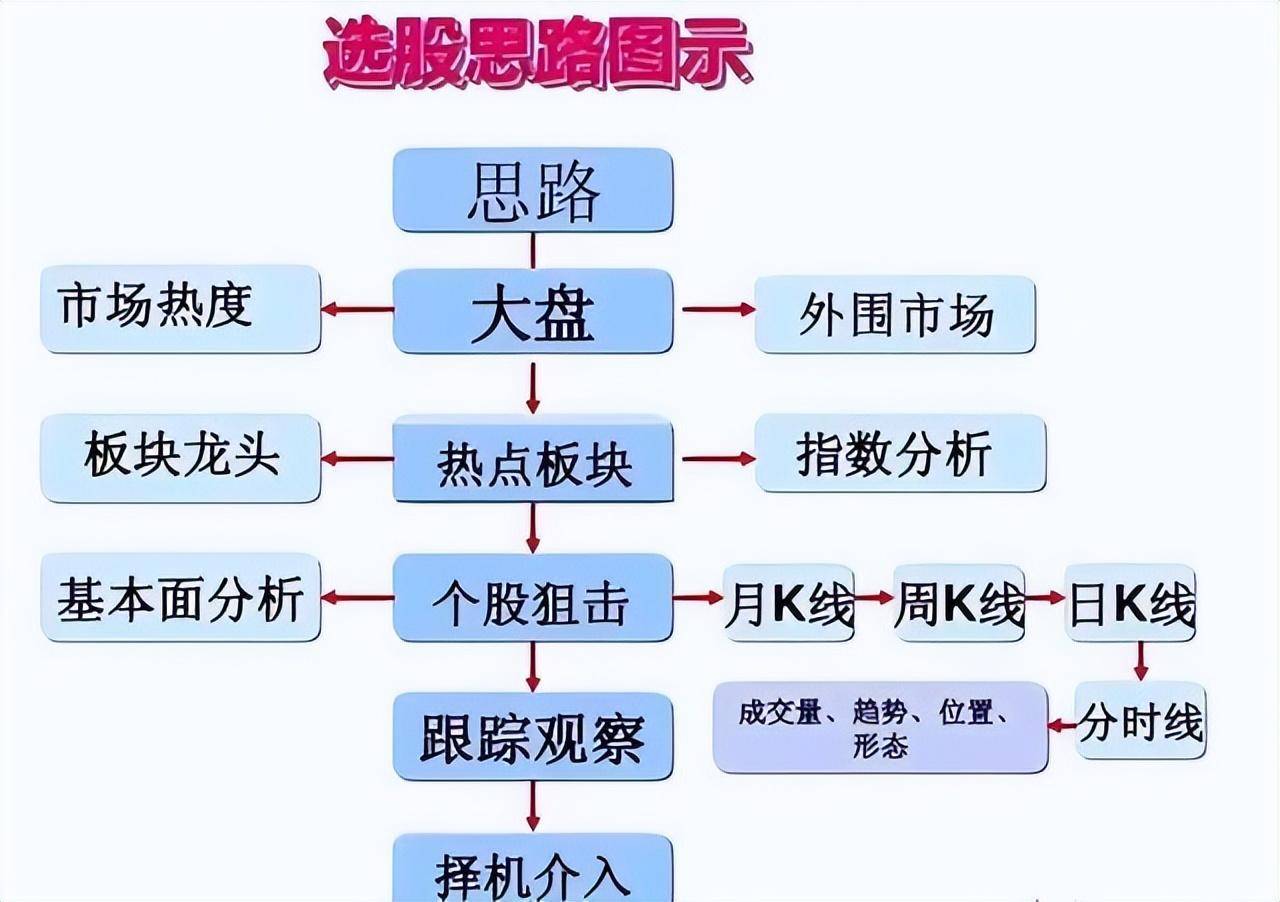 上海金融女博士坦言多年来只炒两种股票点醒股市还亏损的散户