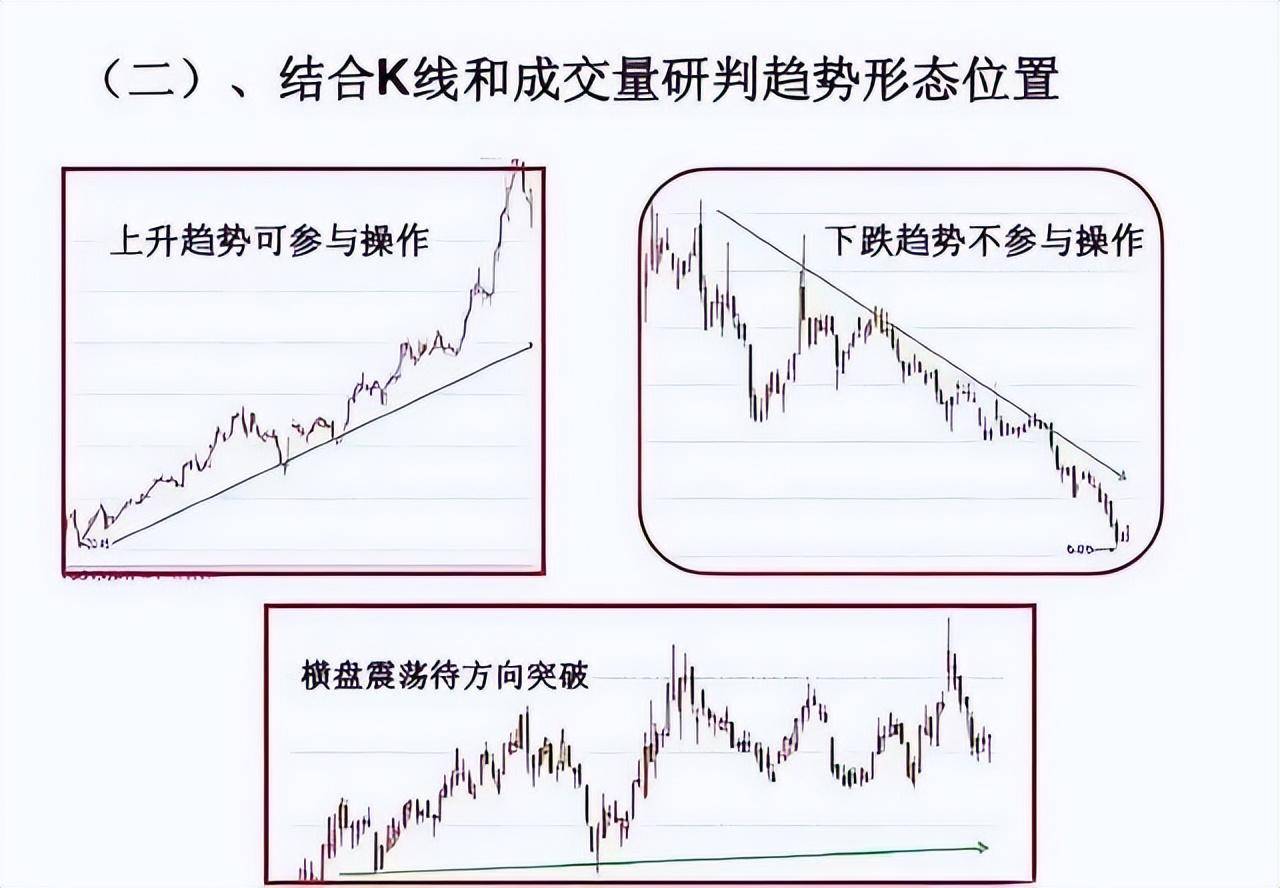 上海金融女博士坦言多年来只炒两种股票点醒股市还亏损的散户