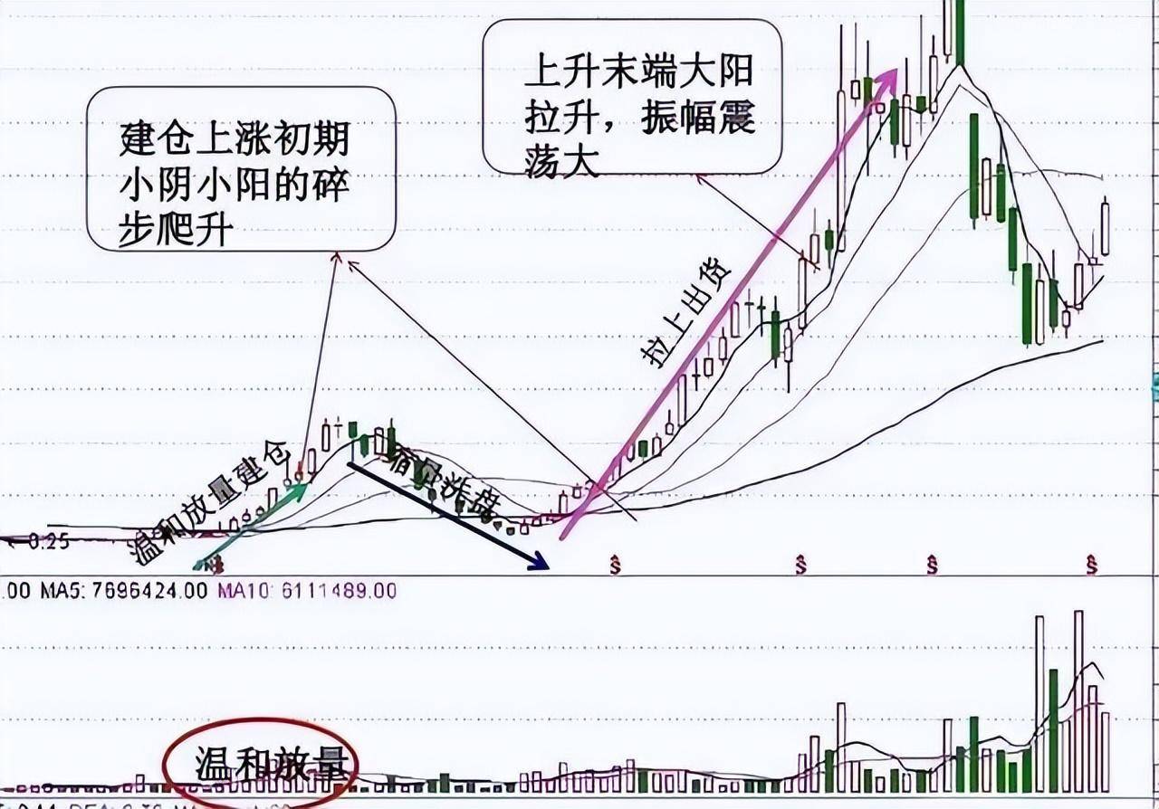 上海金融女博士坦言多年来只炒两种股票点醒股市还亏损的散户