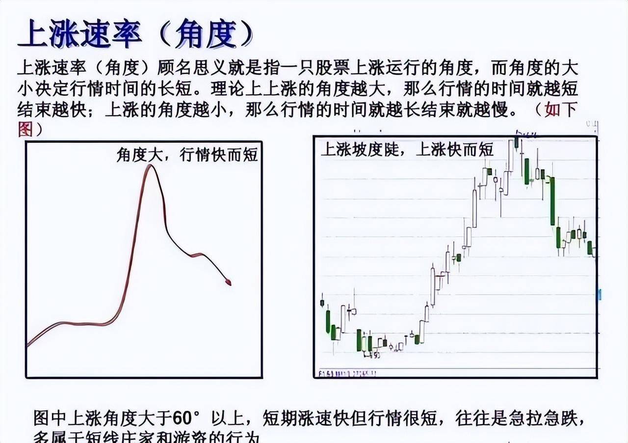 上海金融女博士坦言多年来只炒两种股票点醒股市还亏损的散户