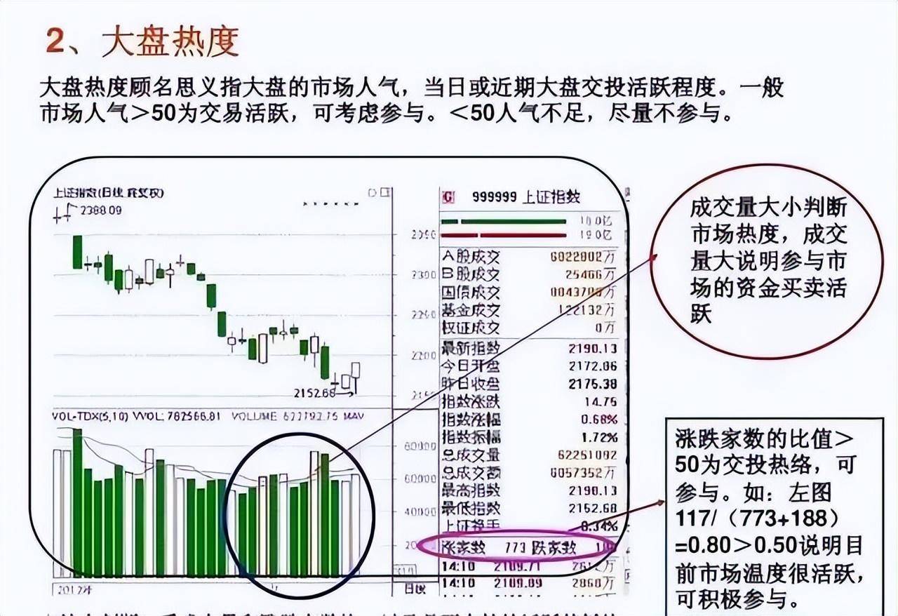 上海金融女博士坦言多年来只炒两种股票点醒股市还亏损的散户