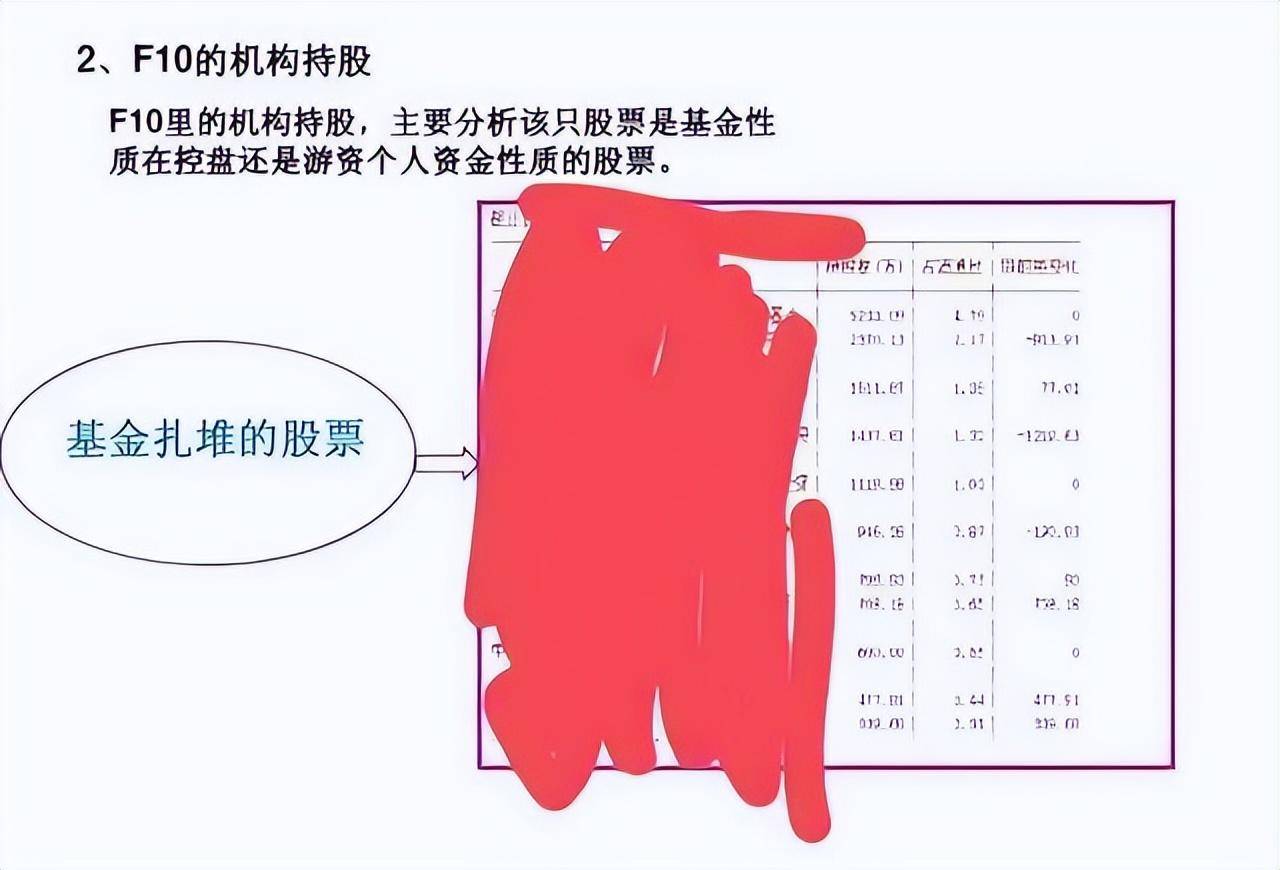 上海金融女博士坦言多年来只炒两种股票点醒股市还亏损的散户