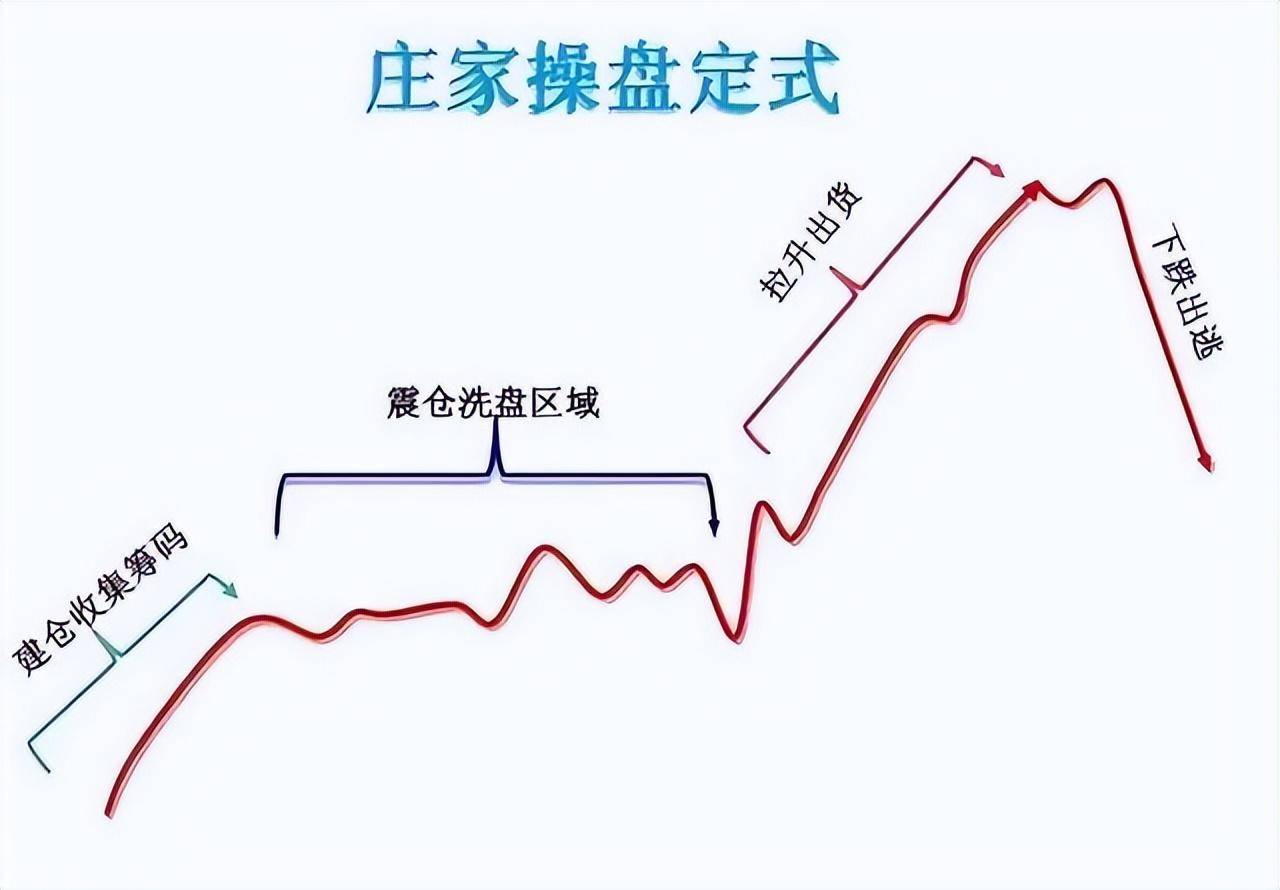 上海金融女博士坦言多年来只炒两种股票点醒股市还亏损的散户