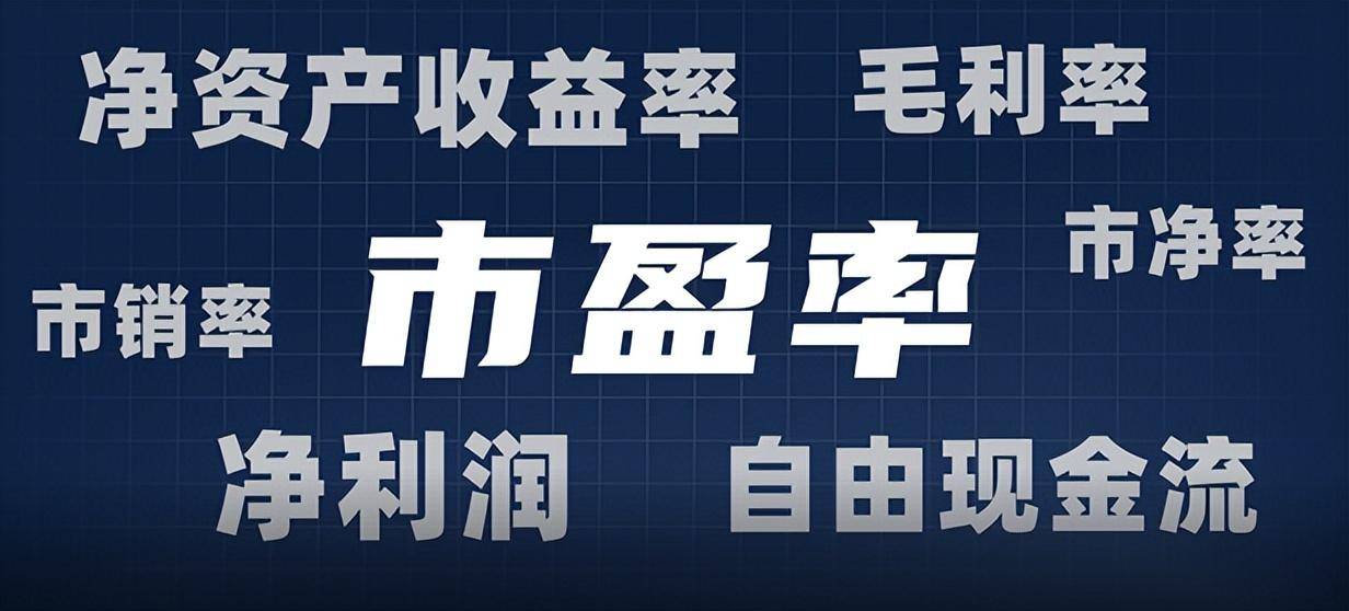 公司估值越低越好吗？买市盈率低的股票究竟是赚是赔？附代码