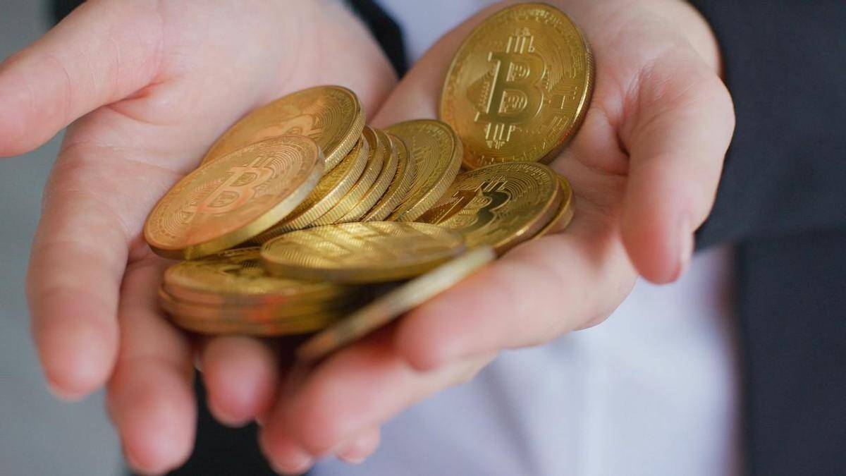 金母鸡量化教学场量化科技优化技术详解一