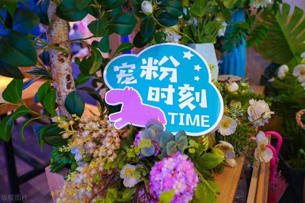 实战人工智能在交易和编程方面的实际运用