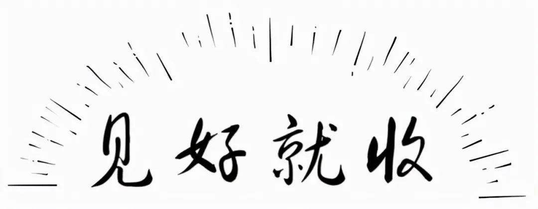 中国股市真正赚钱的高手像麻雀一样炒股很多人还不知道