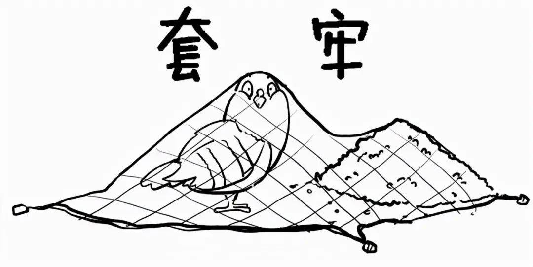 中国股市真正赚钱的高手像麻雀一样炒股很多人还不知道