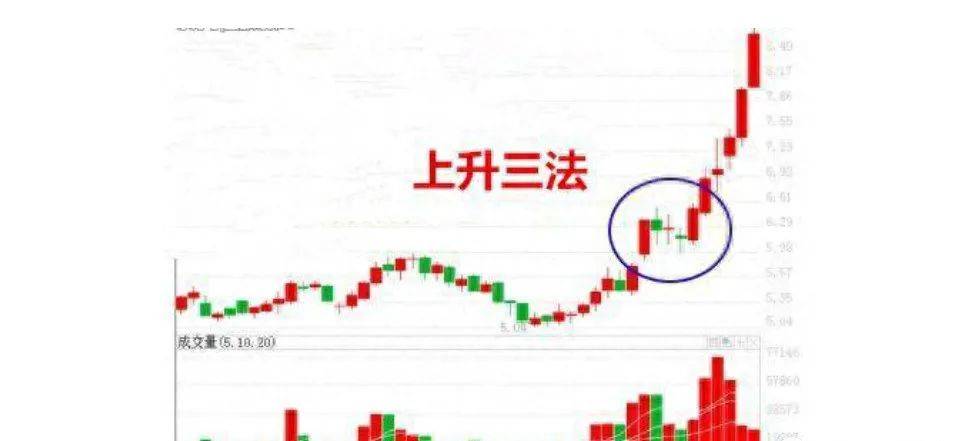 中国股市真正赚钱的高手像麻雀一样炒股很多人还不知道