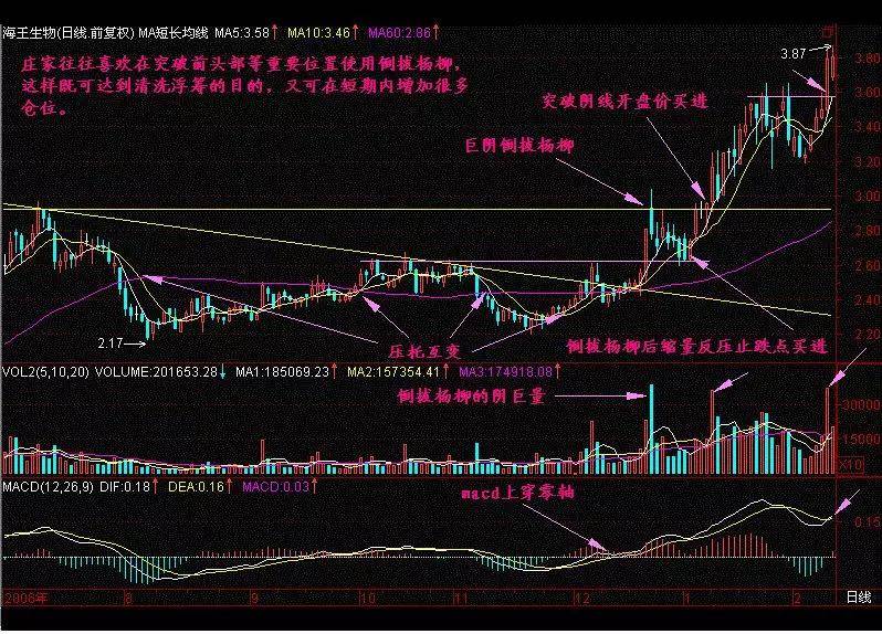 一旦股票出现长阴倒拔杨柳形态股价一飞冲天不下万次检验
