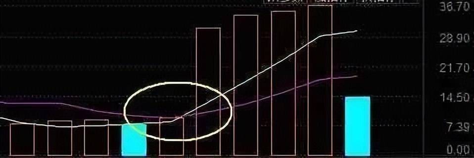 涨停不出货出货不涨停10字箴言每天睡觉前看几遍！