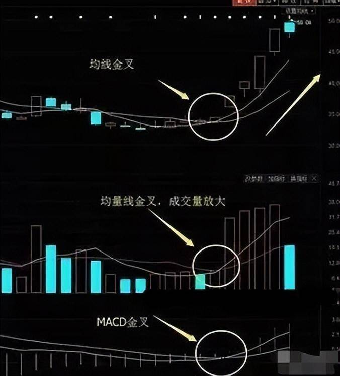 涨停不出货出货不涨停10字箴言每天睡觉前看几遍！