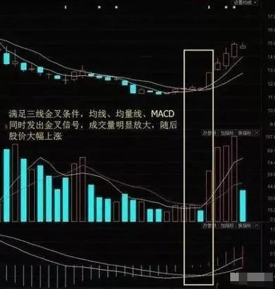 涨停不出货出货不涨停10字箴言每天睡觉前看几遍！