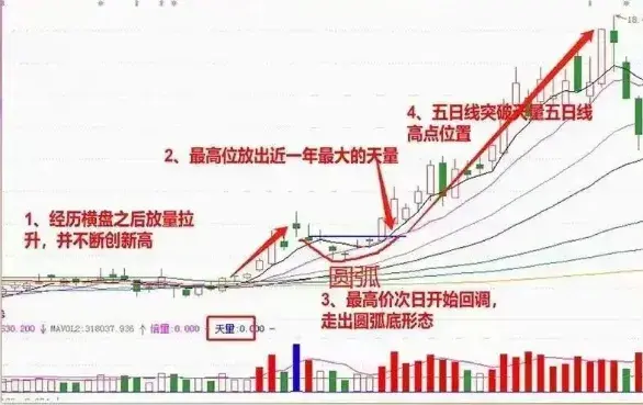 上海炒股大赛冠军直言能从股市赚钱的只有一种人此文很短很深