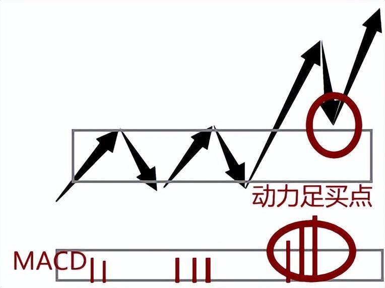 连续4个月4支龙妖股票翻8倍如果再来一次我都能上车么
